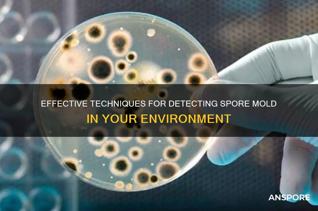 how to detect spore mold