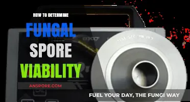 Assessing Fungal Spore Viability: Techniques for Accurate Determination