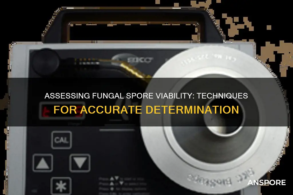 how to determine fungal spore viability