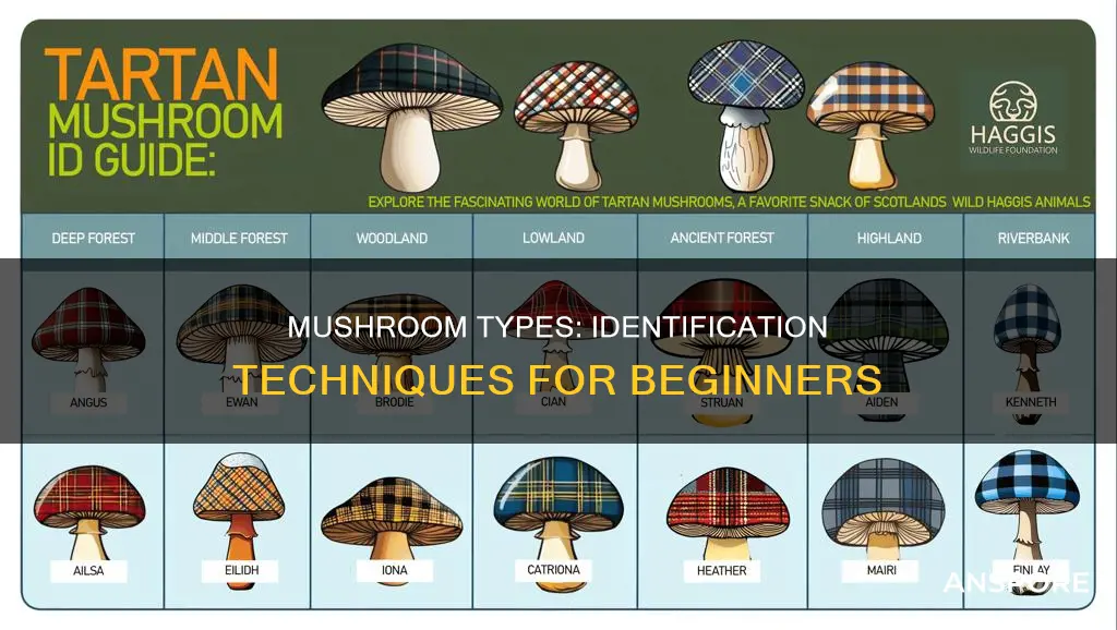 how to determine mushroom type