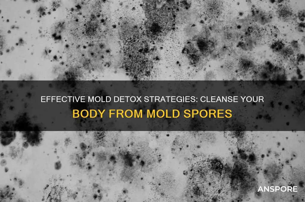 how to detox from mold spores
