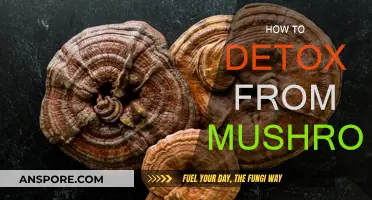 Detoxifying Your Body: Overcoming Mushroom Poisoning