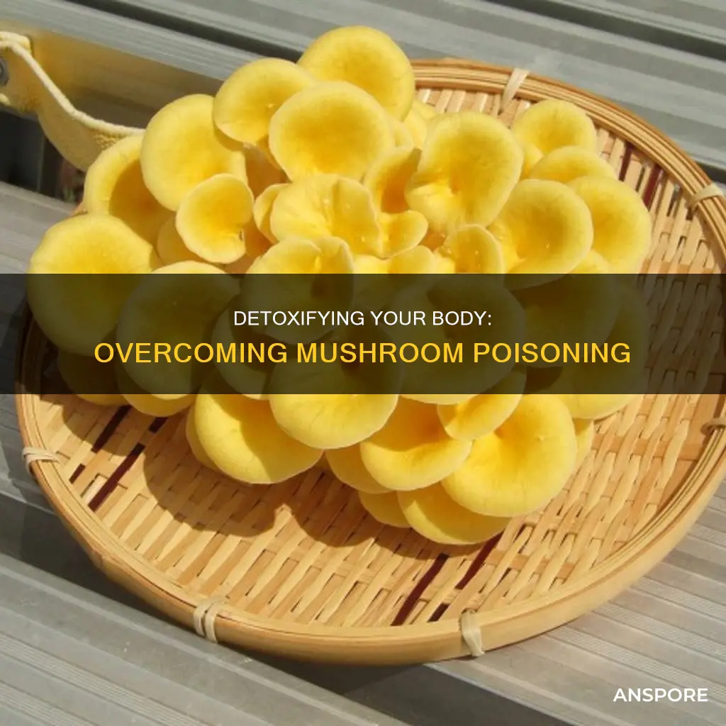 how to detox from mushrooms