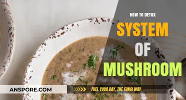 Effective Ways to Safely Detox Your System After Mushroom Consumption