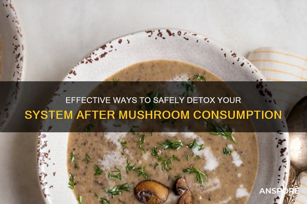 how to detox system of mushrooms