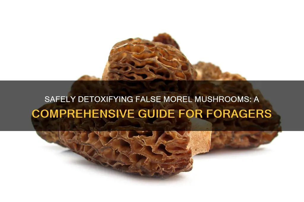 how to detoxify false morel mushrooms