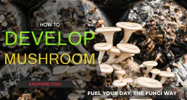Mushroom Cultivation: A Step-by-Step Guide for Beginners