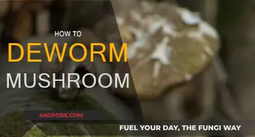 Effective Ways to Deworm Mushrooms at Home