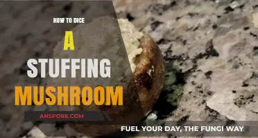 Mastering the Art of Dicing Stuffing Mushrooms: A Step-by-Step Guide