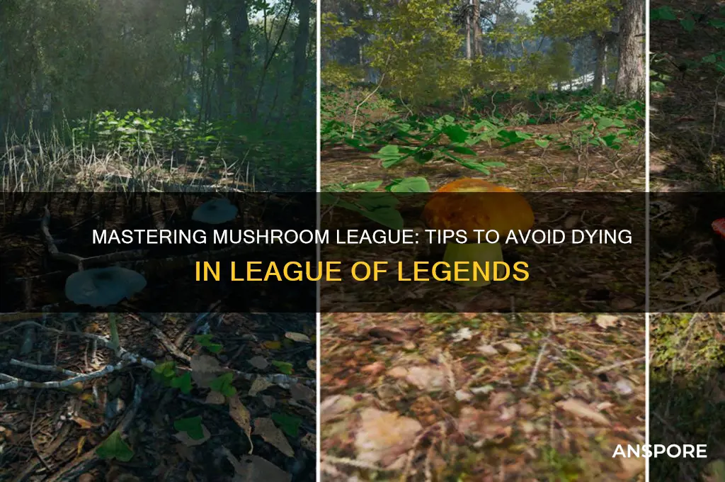 how to die to a mushroom league of legdns