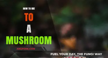 Surviving the Unthinkable: Avoiding Fatal Mushroom Encounters Safely