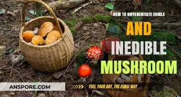 Identifying Edible vs. Inedible Mushrooms: A Safe Foraging Guide