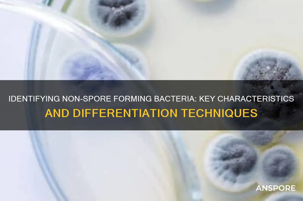 how to differentiate non spore forming bacteria