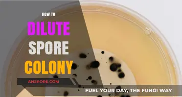 Mastering Spore Colony Dilution: A Step-by-Step Guide for Success