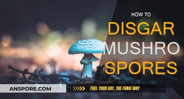 A Safe Guide to Discarding Mushroom Spores