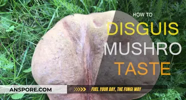 Masking Mushroom's Earthy Taste: Simple Tricks and Tips