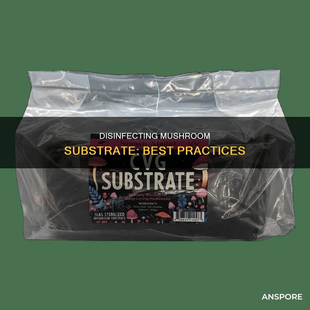 how to disinfect mushroom substrate