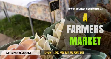 Creative Mushroom Display Tips for Farmers Market Success