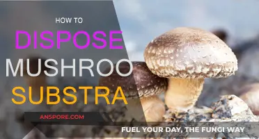 The Ultimate Guide to Mushroom Substrate Disposal