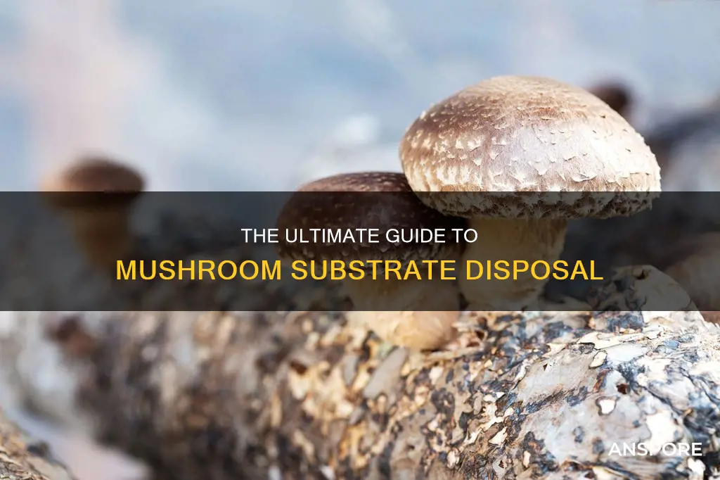 how to dispose mushroom substrate