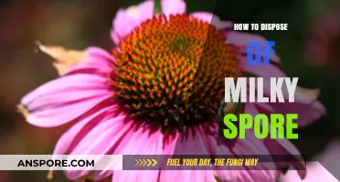 Effective Milky Spore Disposal: Eco-Friendly Methods for Gardeners