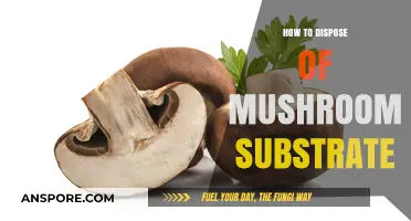 Eco-Friendly Ways to Dispose of Used Mushroom Substrate Responsibly