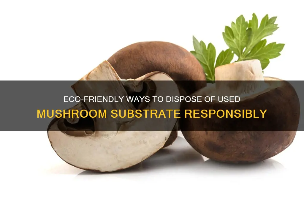 how to dispose of mushroom substrate