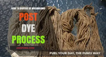 Eco-Friendly Mushroom Dye Disposal: A Step-by-Step Guide for Crafters