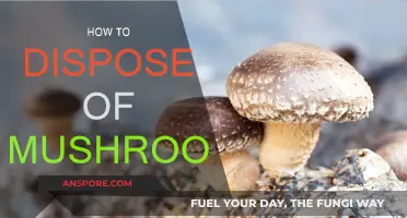 The Right Way to Dispose of Mushrooms