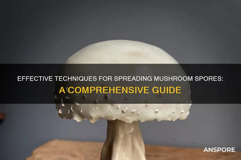 how to disseminate mushroom spores