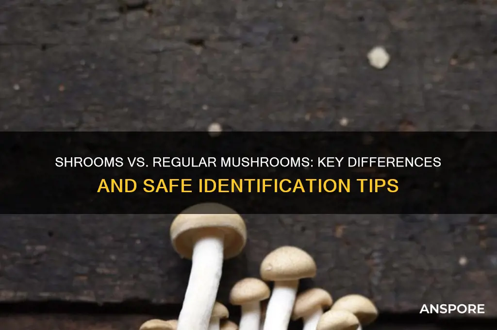 how to distinguish between shroom and regualr mushrooms