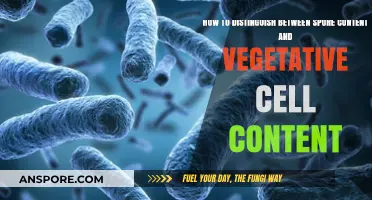 Distinguishing Spore vs. Vegetative Cell Content: Key Differences and Methods