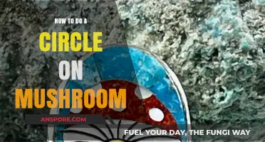 Mastering Mushroom Art: Techniques for Perfect Circles on Fungi Surfaces