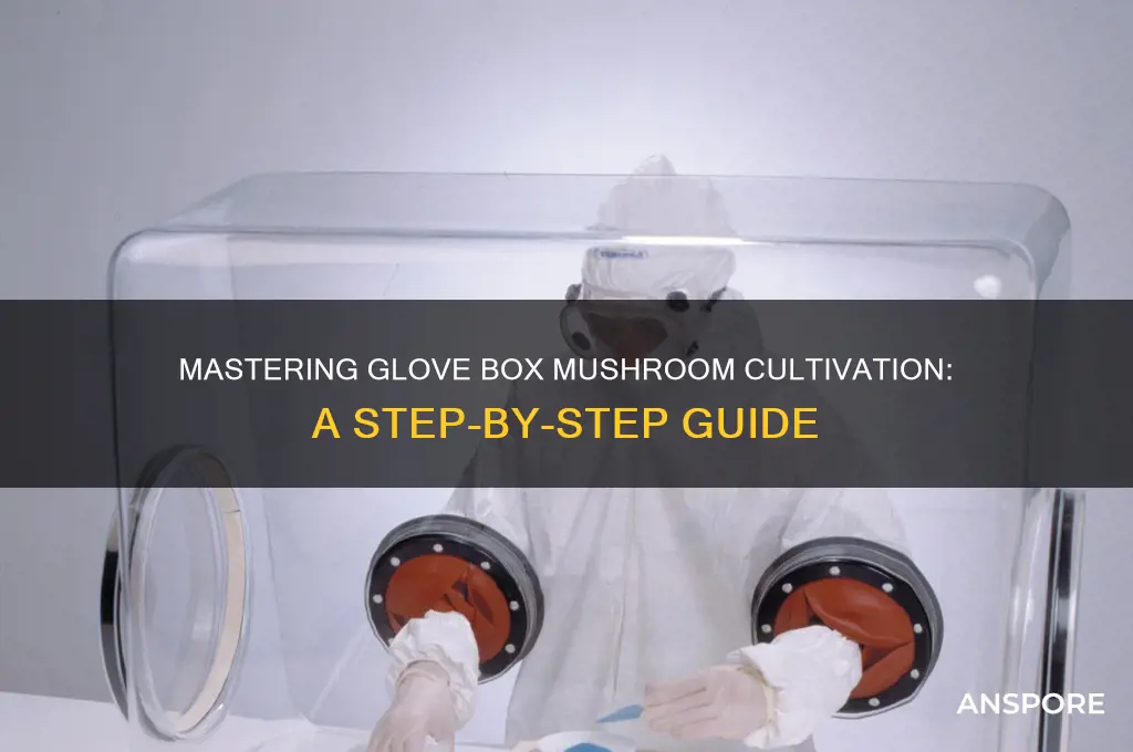 how to do a glove box mushrooms