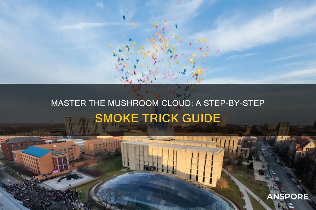 how to do a mushroom cloud smoke trick
