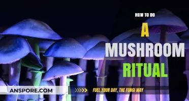 Sacred Mushroom Ritual Guide: Enhance Spirituality and Inner Growth