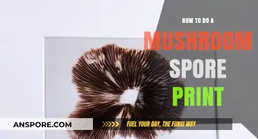 Mastering Mushroom Spore Prints: A Step-by-Step Guide for Beginners