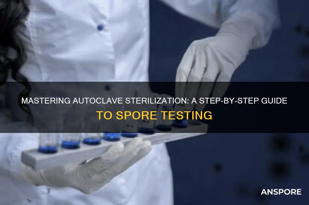 how to do a spore test for autoclave