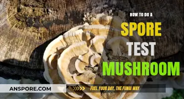 Mastering Mushroom Cultivation: A Step-by-Step Guide to Spore Testing