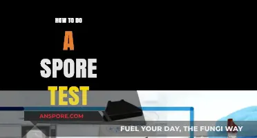 Mastering Spore Testing: A Step-by-Step Guide for Sterilization Success