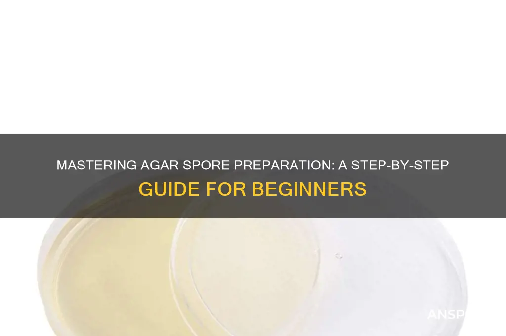 how to do agar spore