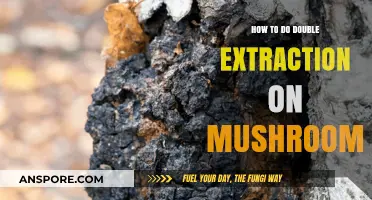 Mastering Double Extraction: Unlocking Mushrooms' Full Potential in Simple Steps