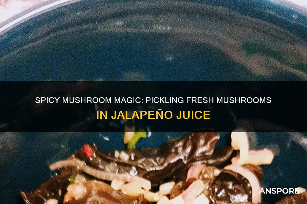 how to do fresh mushrooms in jalopena juice
