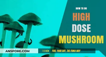 Mastering High-Dose Mushroom Experiences: A Comprehensive Guide to Safe Exploration