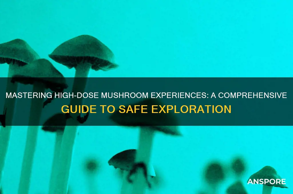 how to do high dose mushrooms