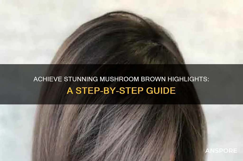 how to do mushroom brown highlights