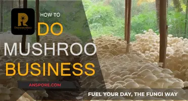 Mushroom Business: A Guide to Success