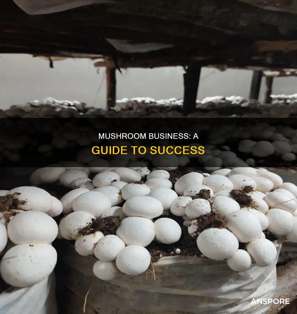 how to do mushroom business