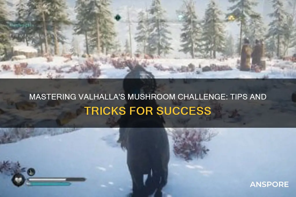 how to do mushroom challenge valhalla
