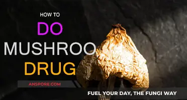 Mushroom Drug: A Guide to Safe Tripping
